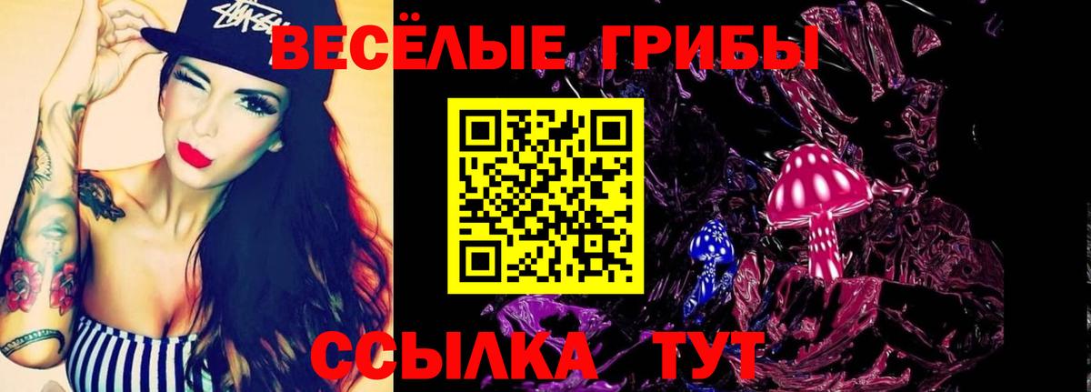 Псилоцибиновые грибы Psilocybe  Вход с VPN  Клин  Галлюциногенные грибы мицелий 
